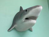 LIFE-SIZE Giant Shark!