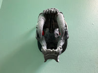 Sabertooth Tiger Skull Wall Hanger!