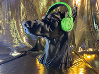 BIG Anubis Headphone Stand!