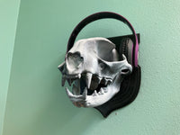 Cat Skull Wall Hanger!