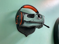 Uromastyx Lizard Skull Wall Hanger!