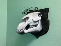 Horse Skull Wall Hanger!